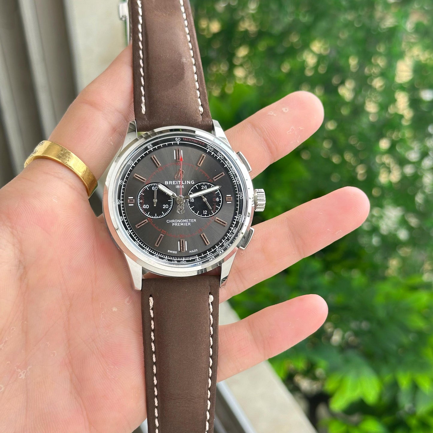 Brown Grey Leather Elite Collection