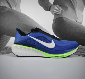 Nikkee Air Zoom pegasus 42 Royal Blue