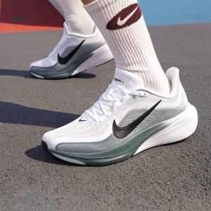 Nikkee Air Zoom pegasus 42 Green