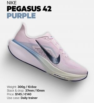 Nikkee Air Zoom pegasus 42 Pink
