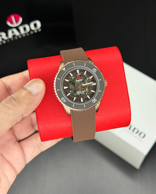 Brown Grey Automatic Watch